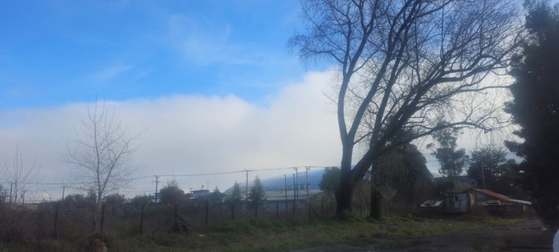 Terreno en arriendo en Valdivia — foto 5