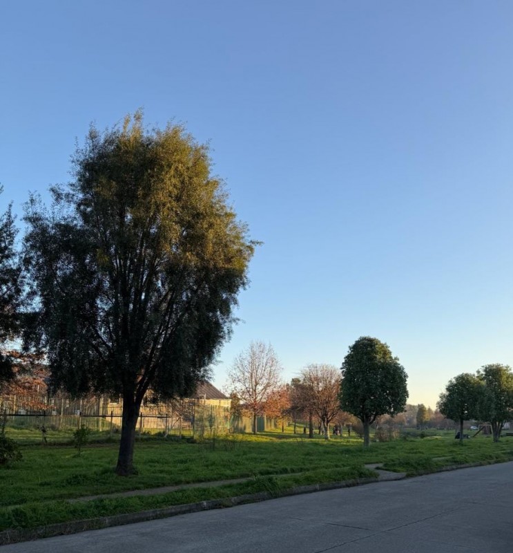 Casa en venta en Valdivia — foto 10
