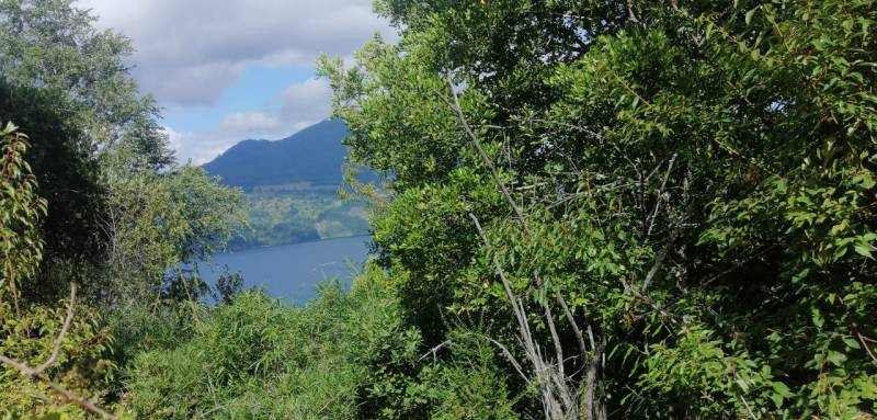 Parcela en venta en Lago Ranco — foto 4