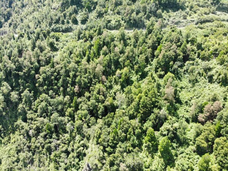 Parcela en venta en Lago Ranco — foto 6