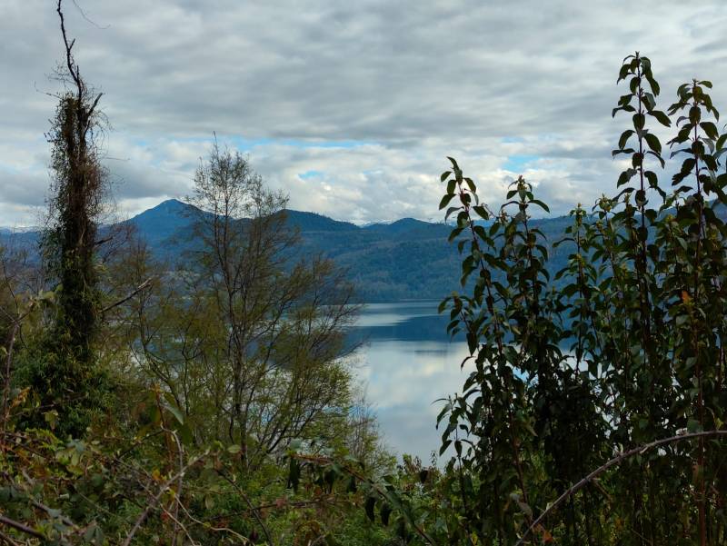 Parcela en venta en Lago Ranco — foto 8