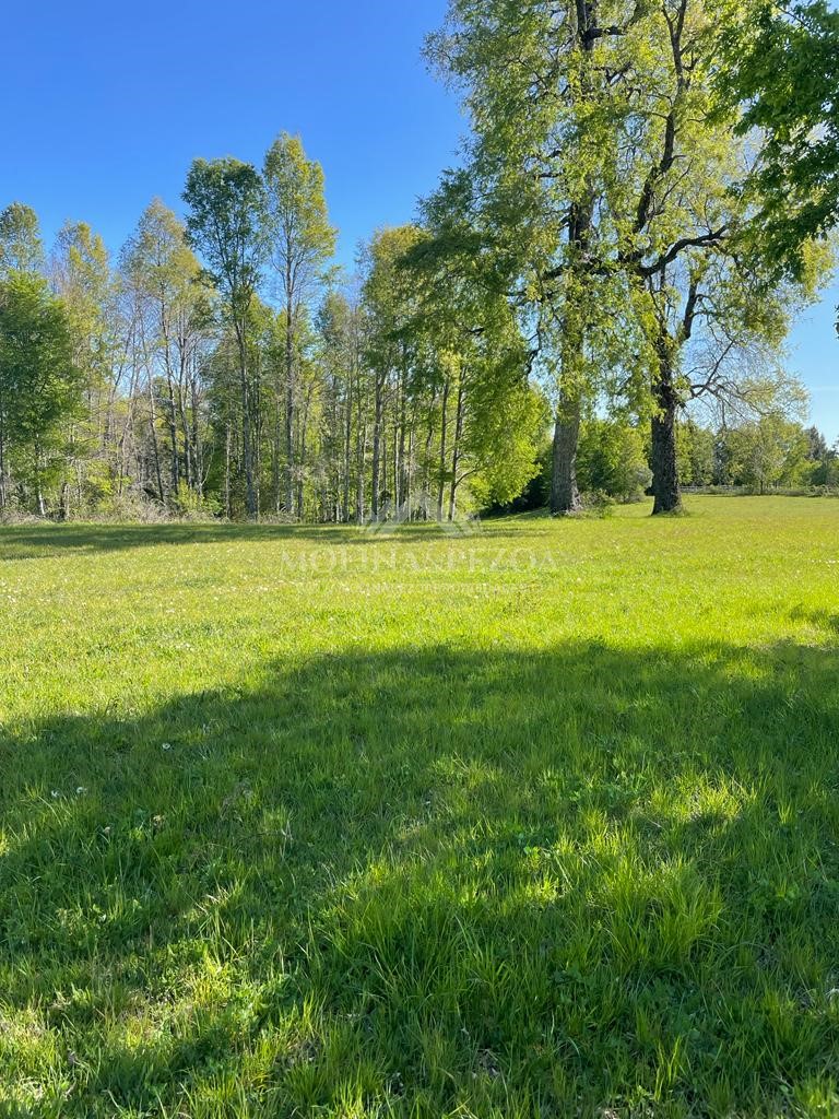 Terreno en venta en Curacautín — foto 1