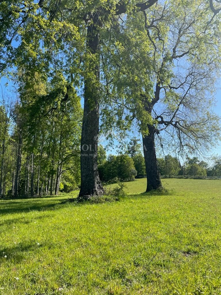 Terreno en venta en Curacautín — foto 8