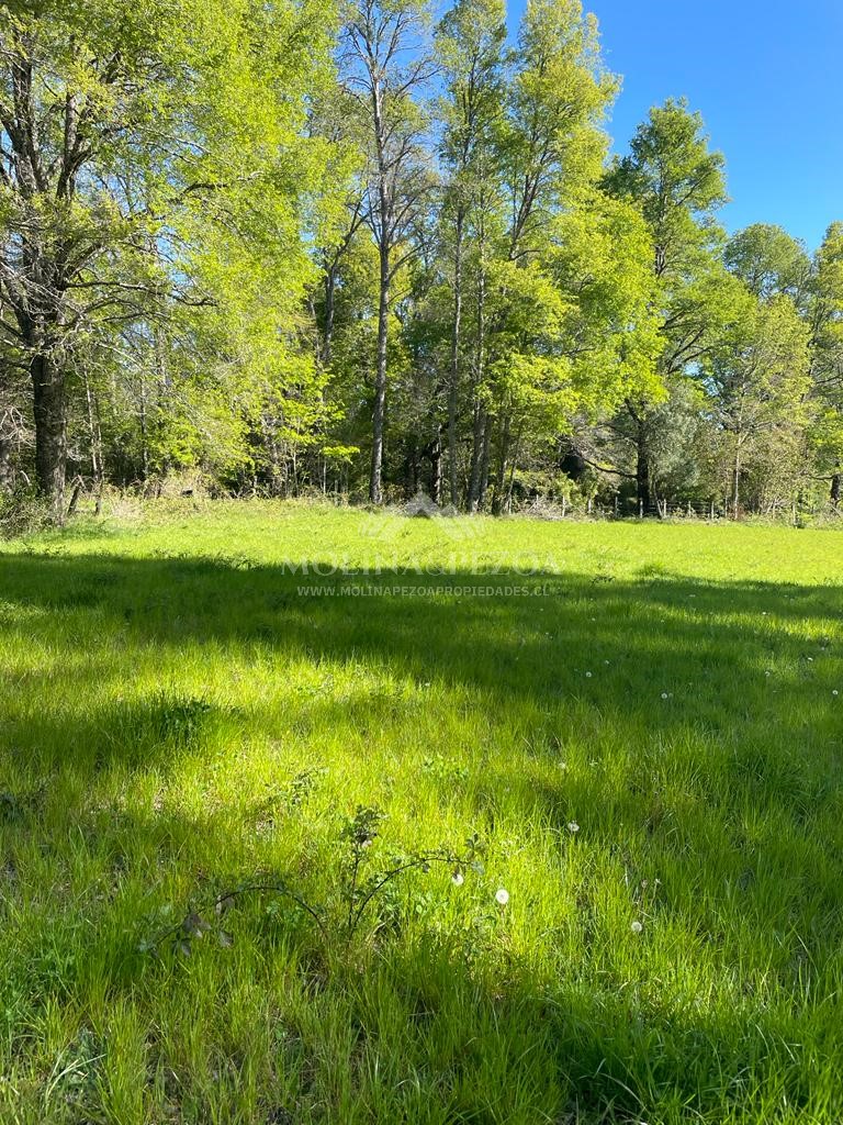 Terreno en venta en Curacautín — foto 9