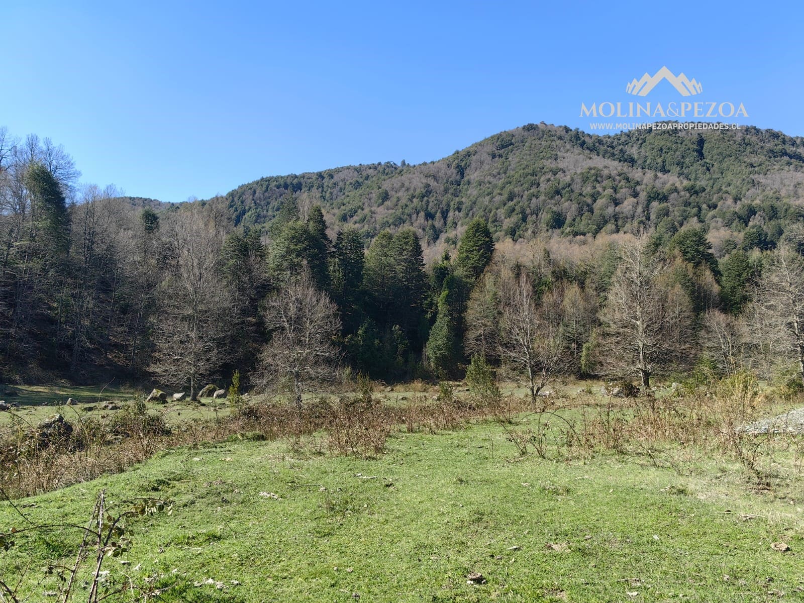 Terreno en venta en Curacautín — foto 1
