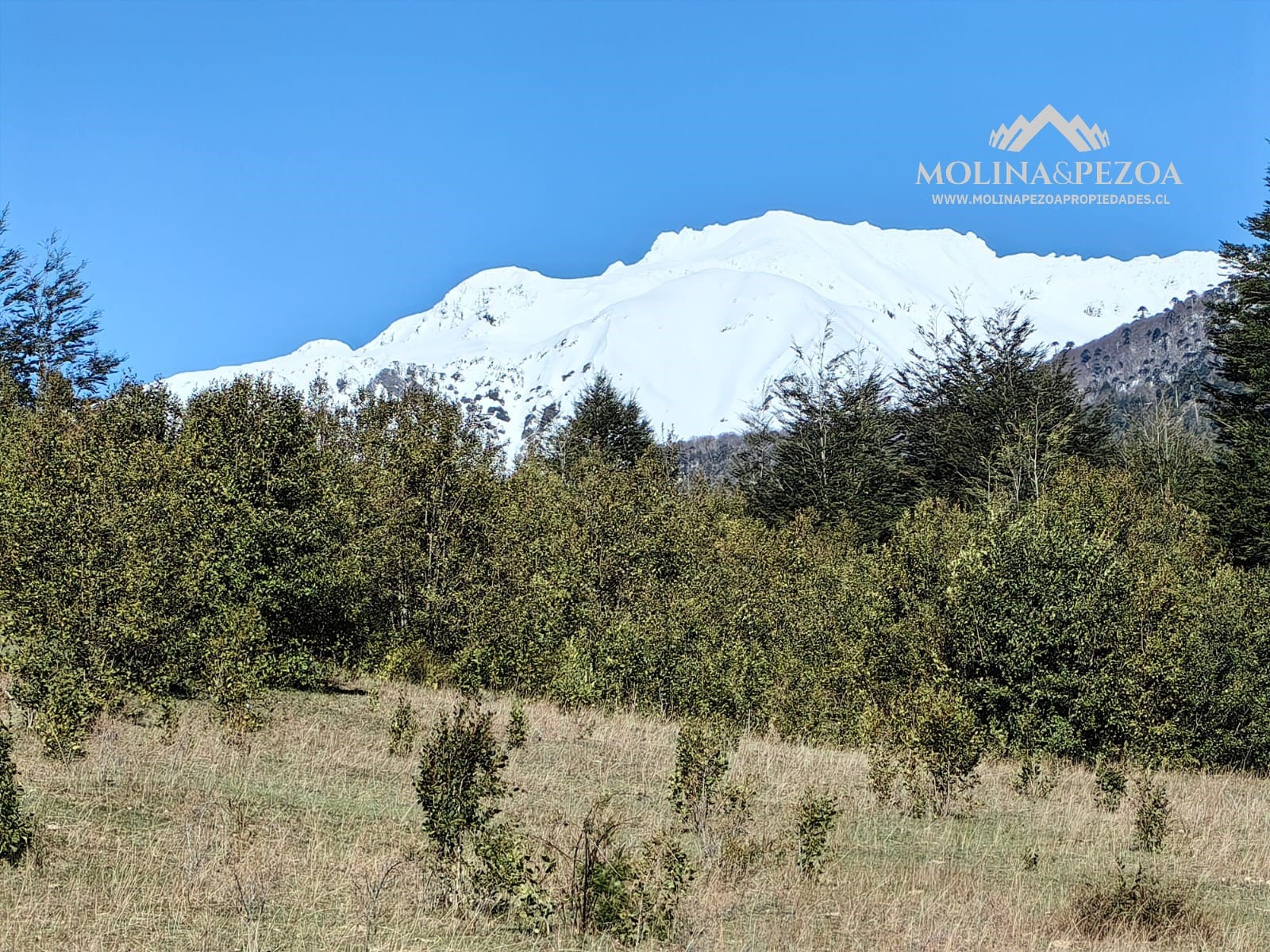 Terreno en venta en Curacautín — foto 3