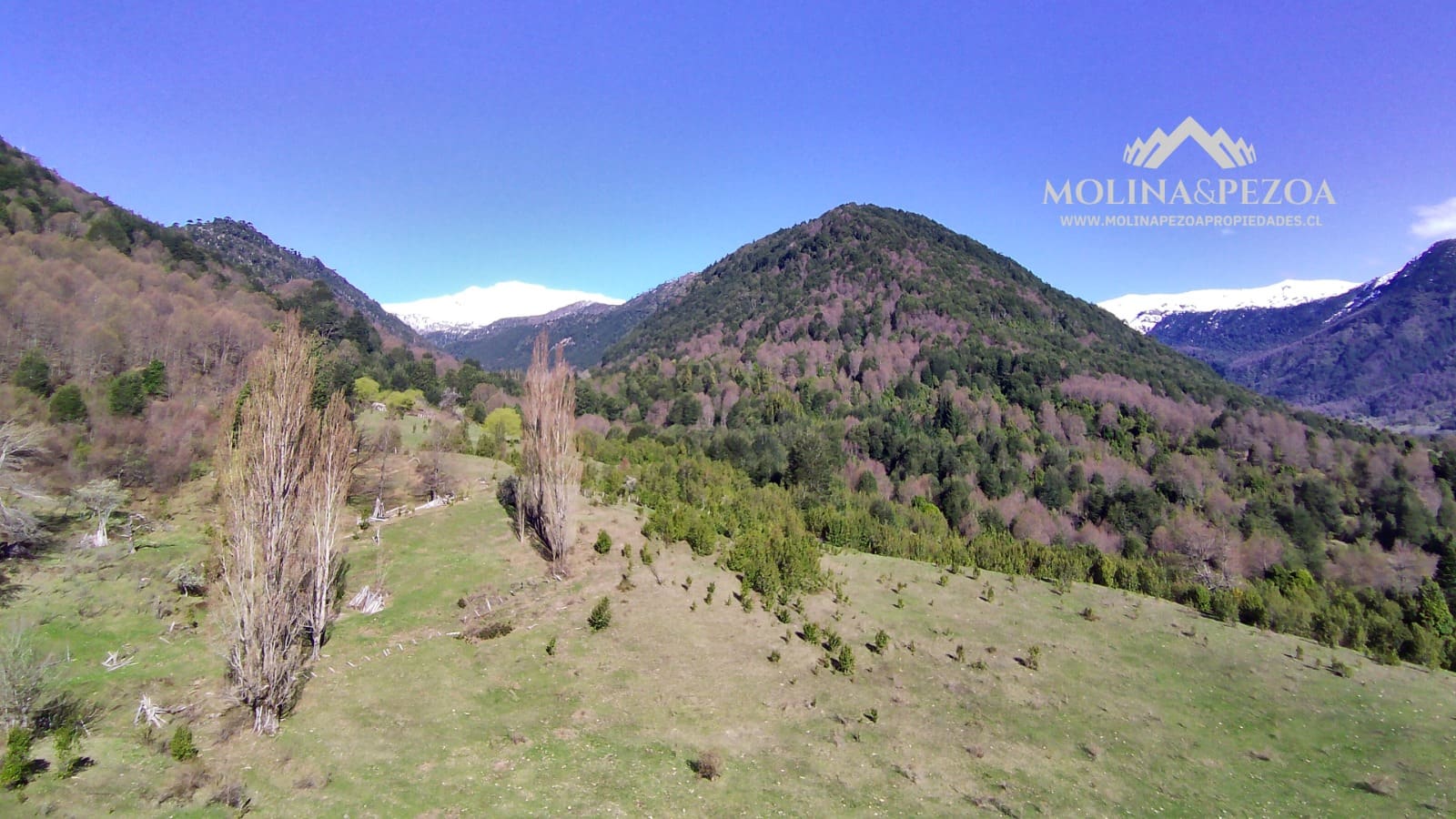 Terreno en venta en Curacautín — foto 5