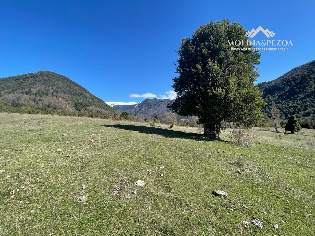 Terreno en venta en Curacautín — foto 6
