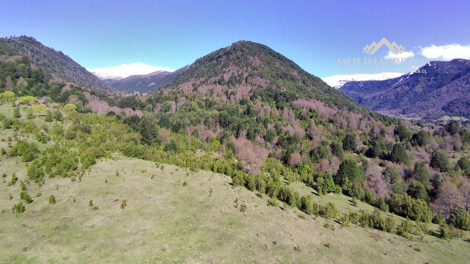 Terreno en venta en Curacautín — foto 10