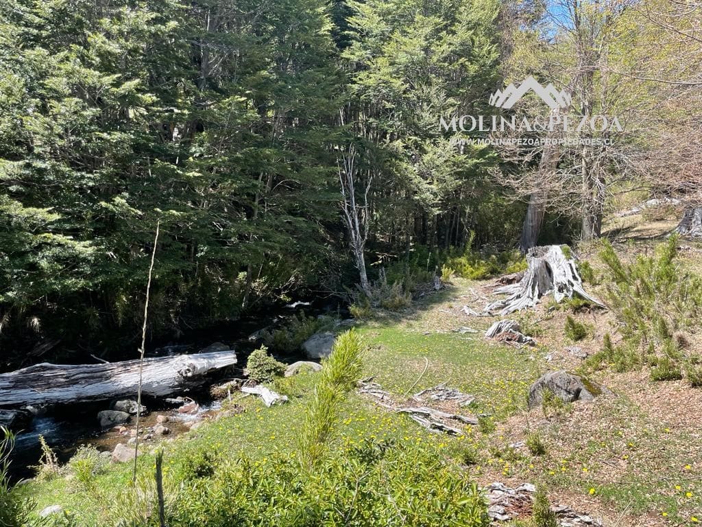 Terreno en venta en Curacautín — foto 10