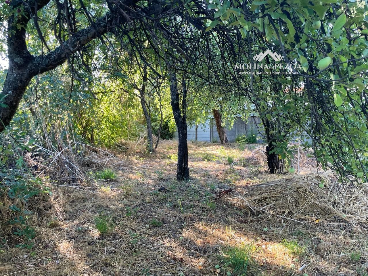 Terreno en venta en Curacautín — foto 8