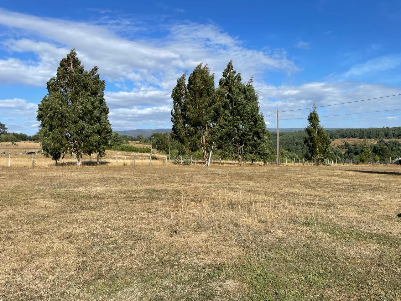 Parcela en venta en Curacautín — foto 10