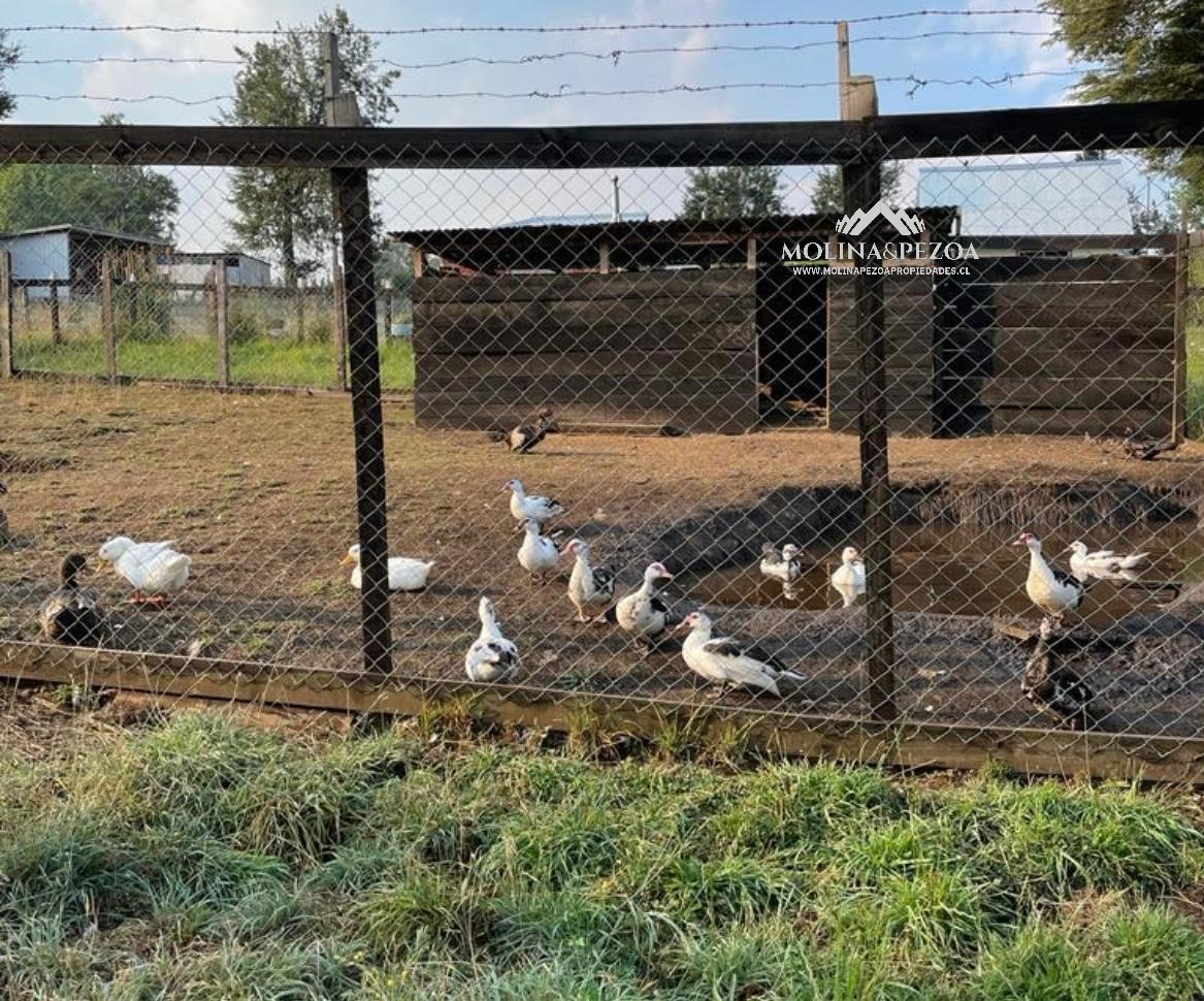 Parcela en venta en Curacautín — foto 10