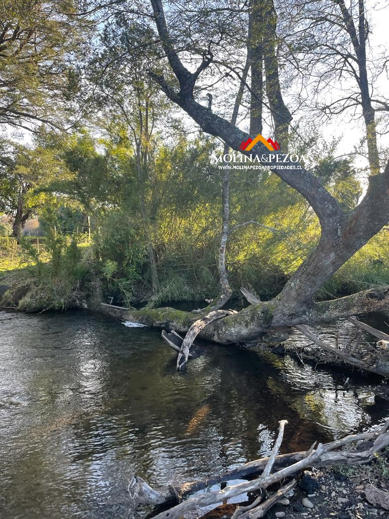 Parcela en venta en Curacautín — foto 7