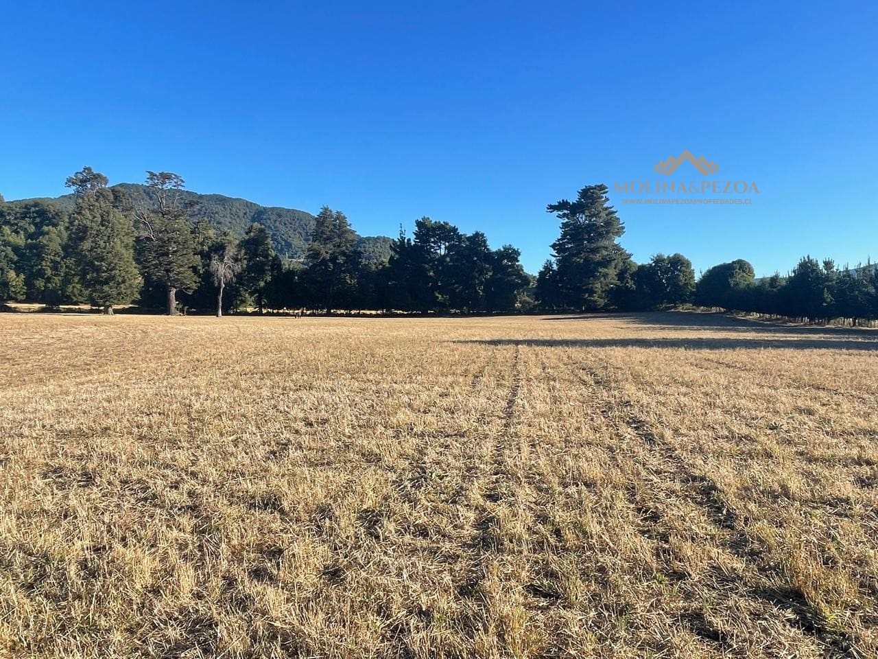 Terreno en venta en Curacautín — foto 1