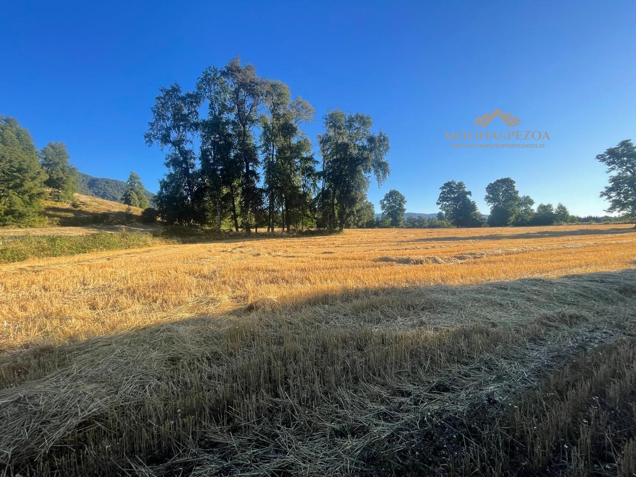 Terreno en venta en Curacautín — foto 2