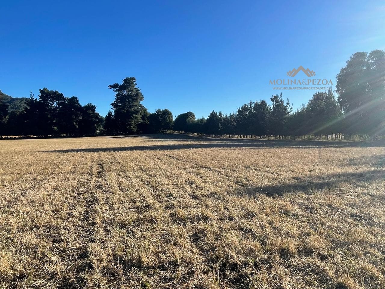 Terreno en venta en Curacautín — foto 8