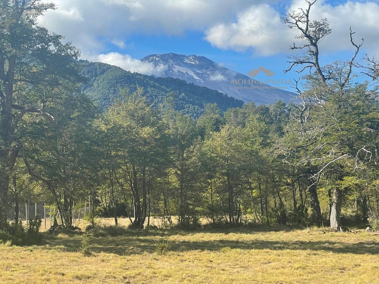 Parcela en venta en Curacautín — foto 3