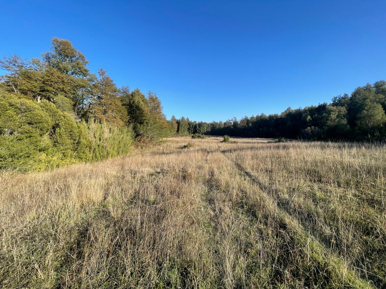 Terreno en venta en Curacautín — foto 1