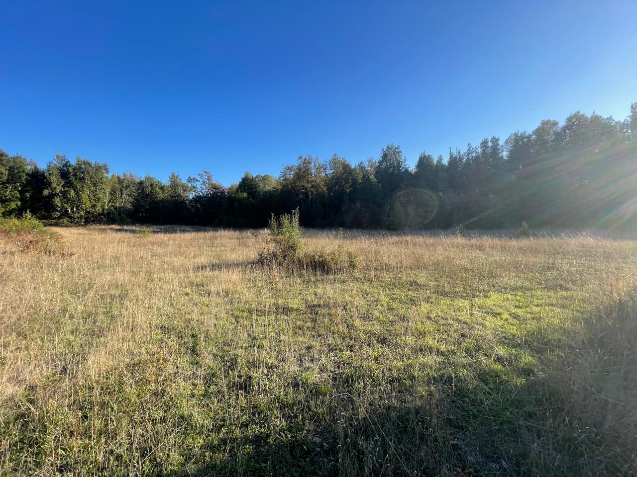 Terreno en venta en Curacautín — foto 3