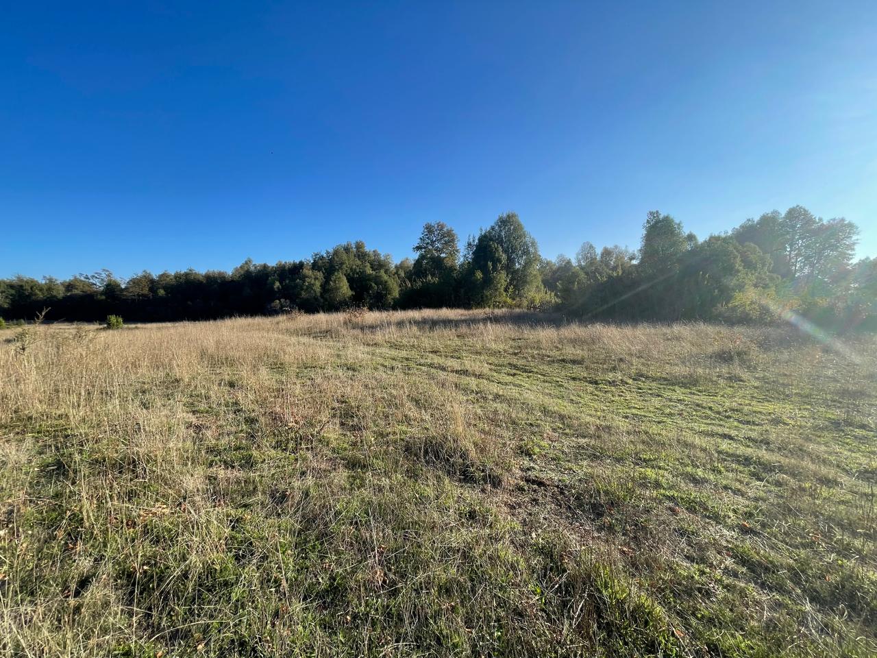 Terreno en venta en Curacautín — foto 4