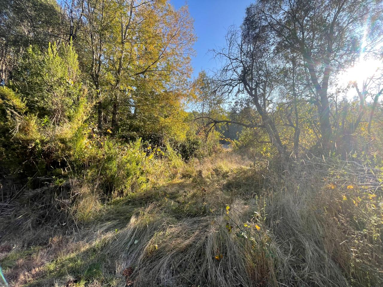 Terreno en venta en Curacautín — foto 6