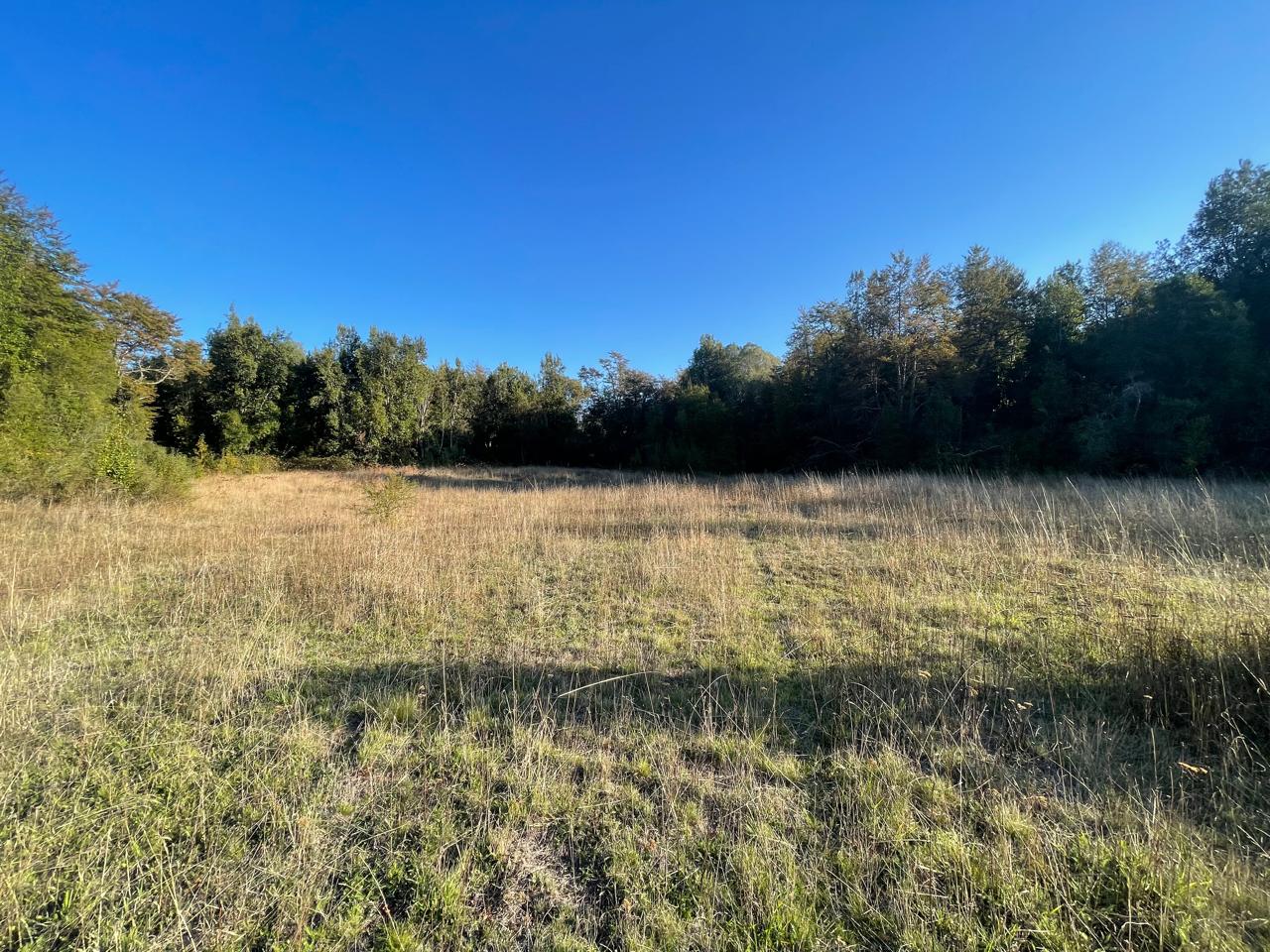 Terreno en venta en Curacautín — foto 9
