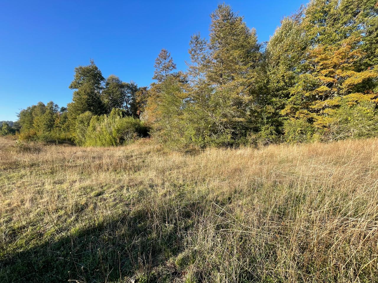 Terreno en venta en Curacautín — foto 10