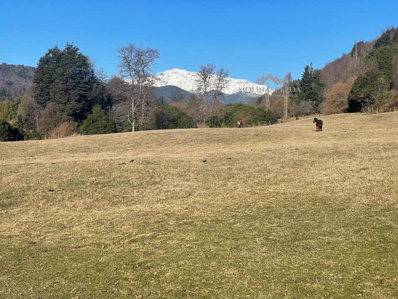 Terreno en venta en Curacautín — foto 3