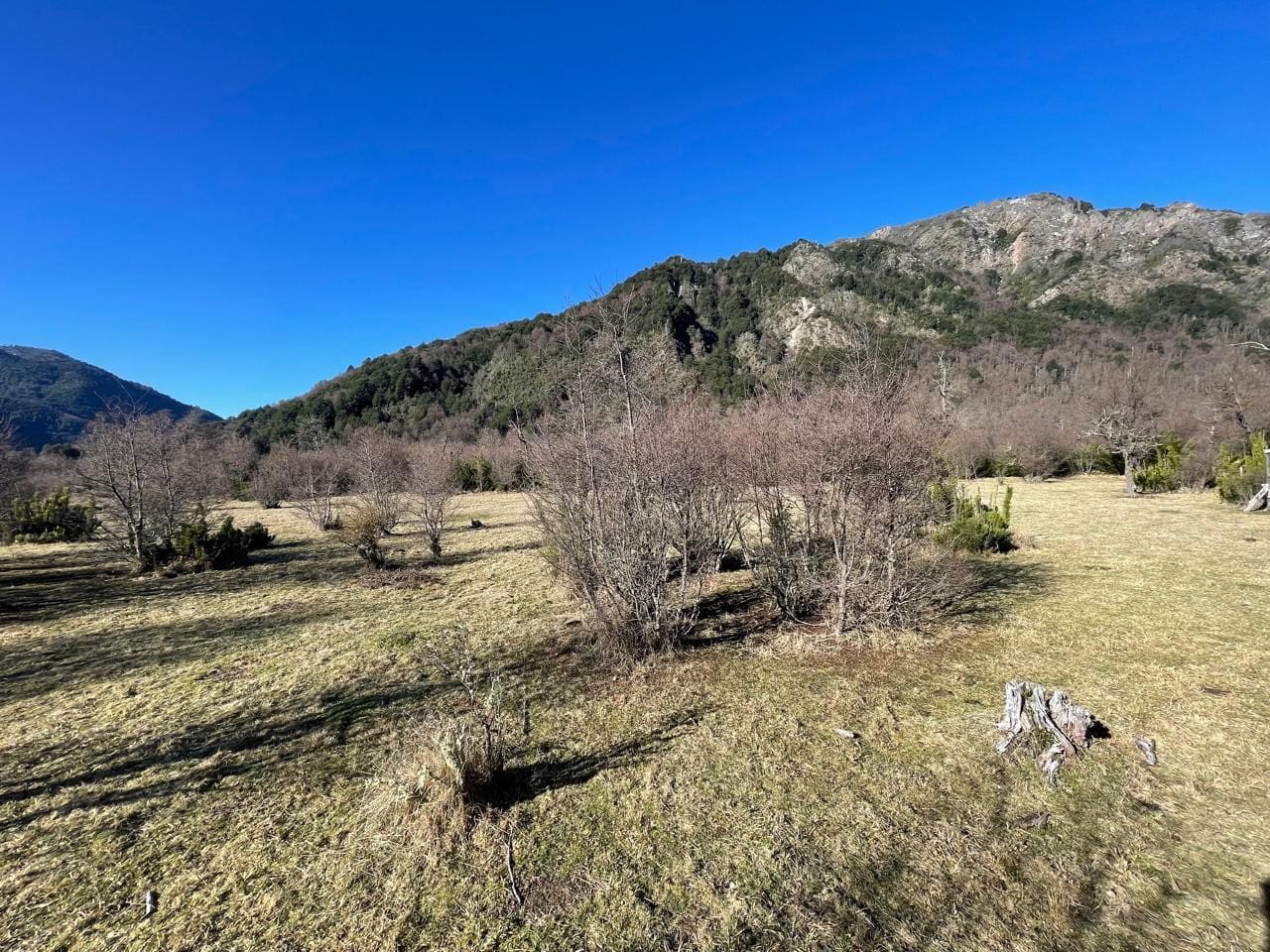 Terreno en venta en Curacautín — foto 10