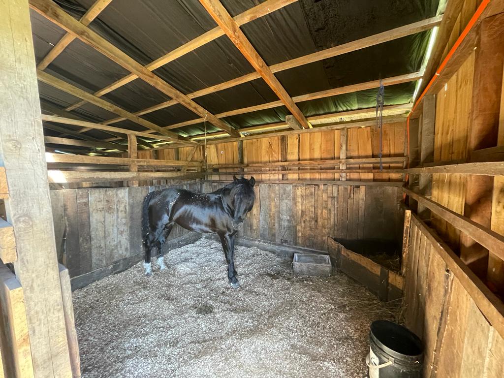 Parcela en venta en Curacautín — foto 4