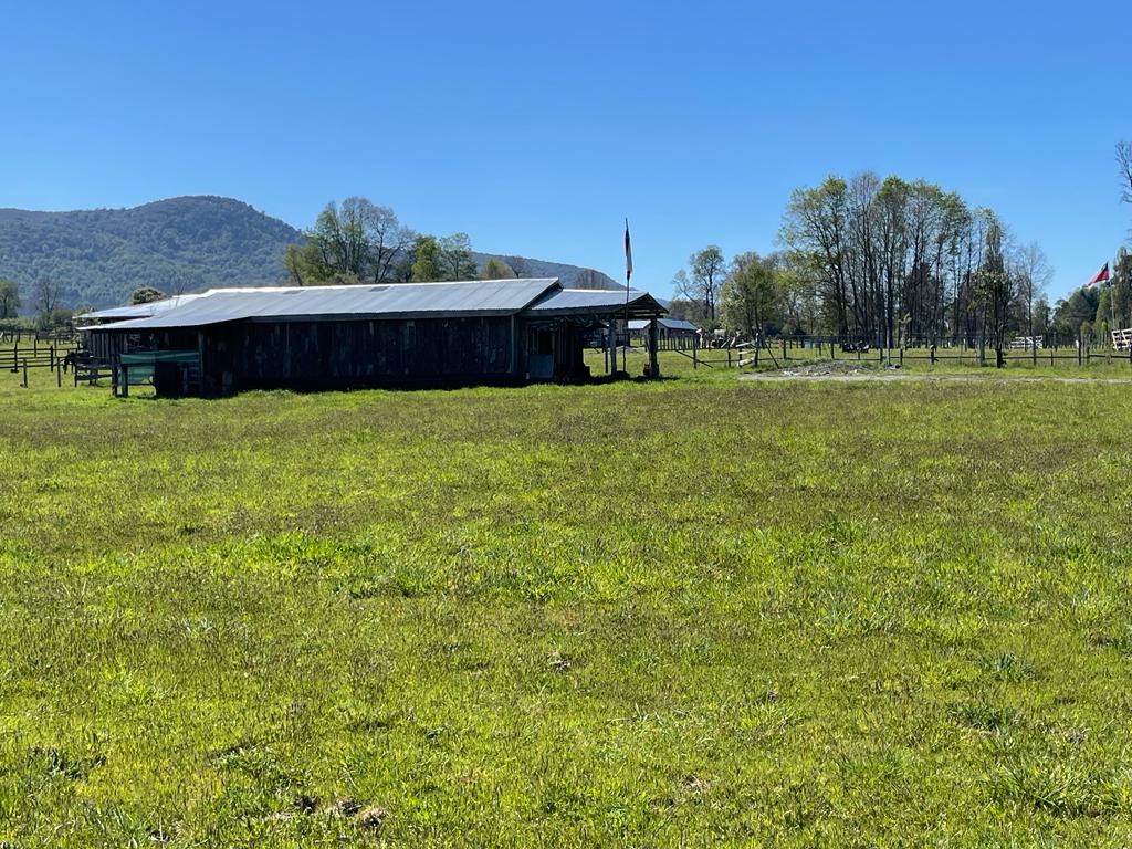 Parcela en venta en Curacautín — foto 10