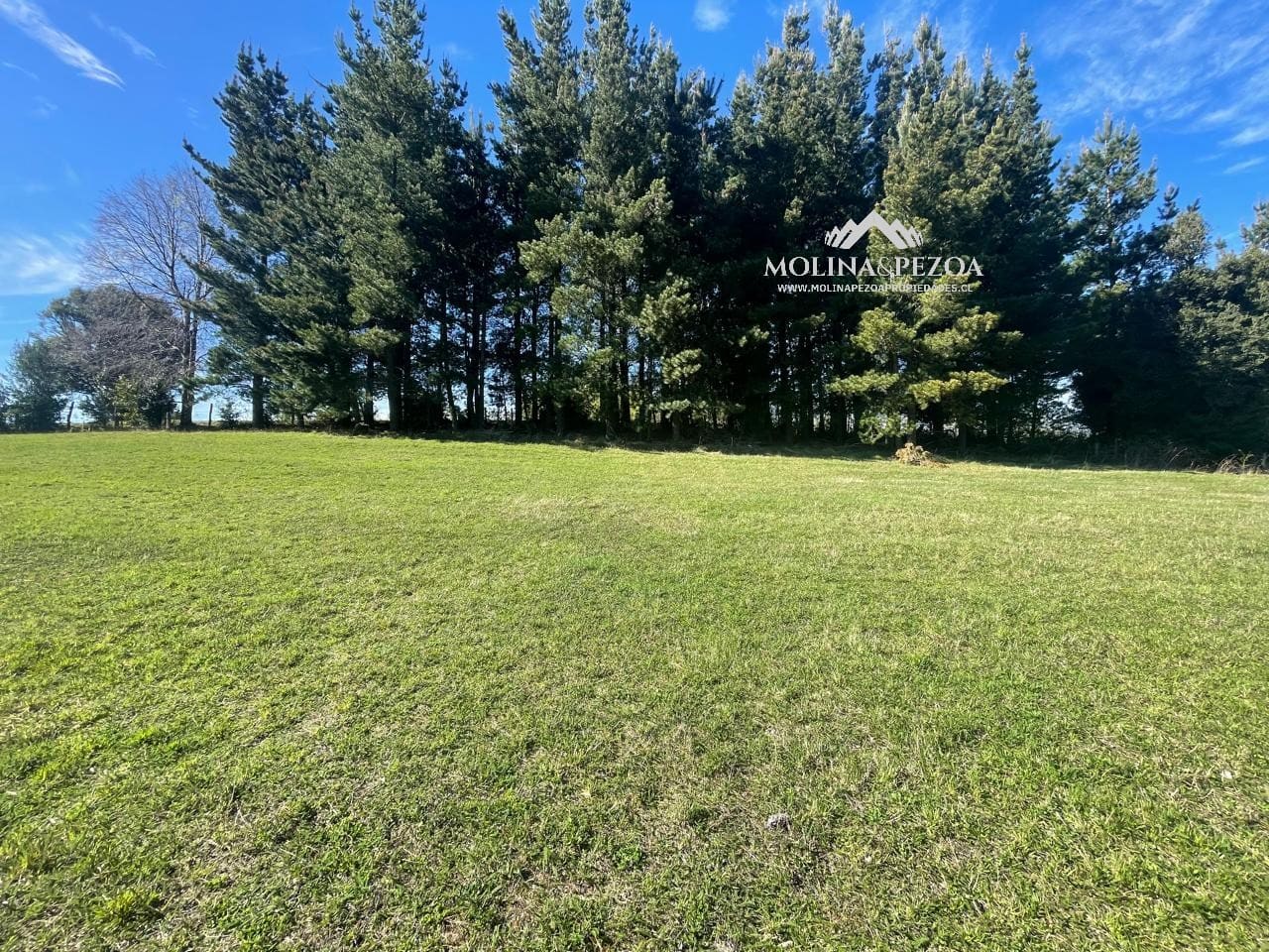 Parcela en venta en Curacautín — foto 6