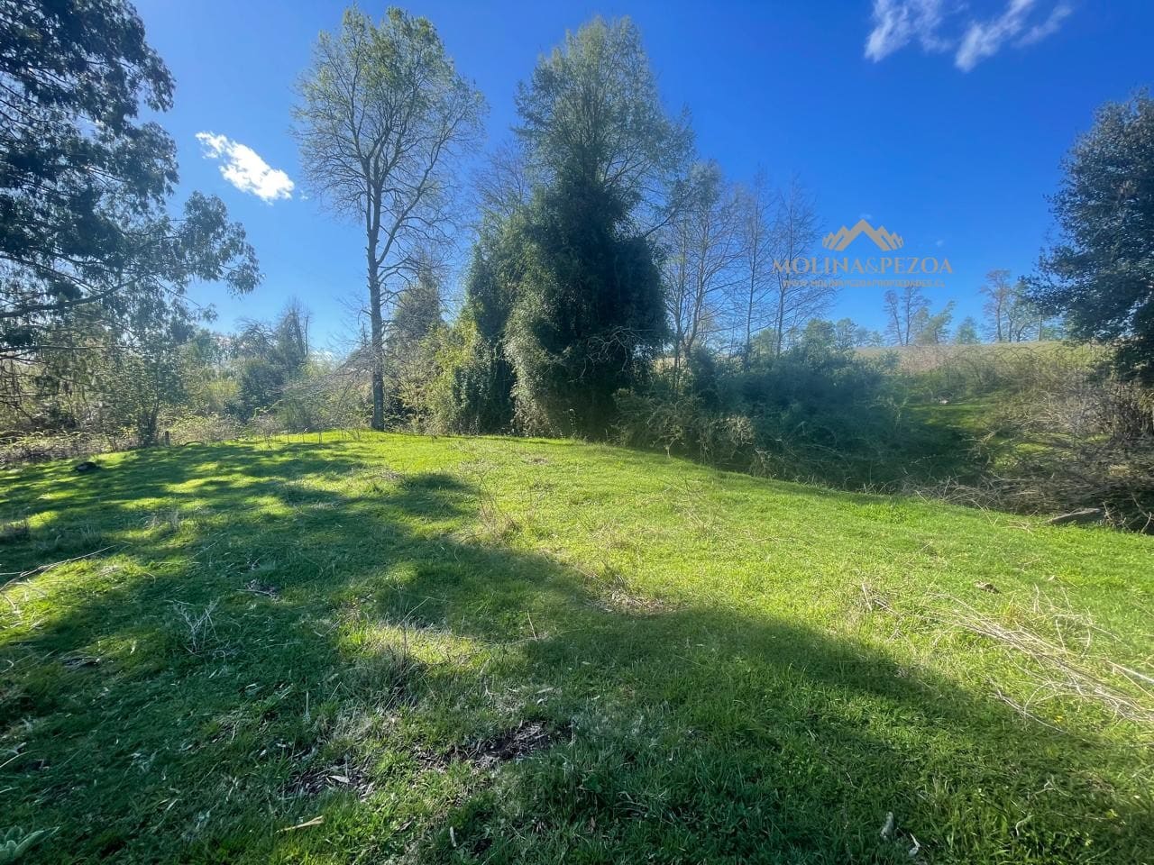 Parcela en venta en Curacautín — foto 3