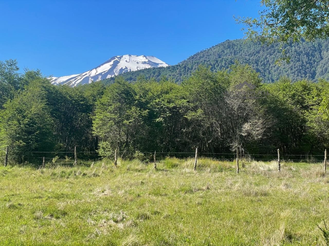Parcela en venta en Curacautín — foto 4