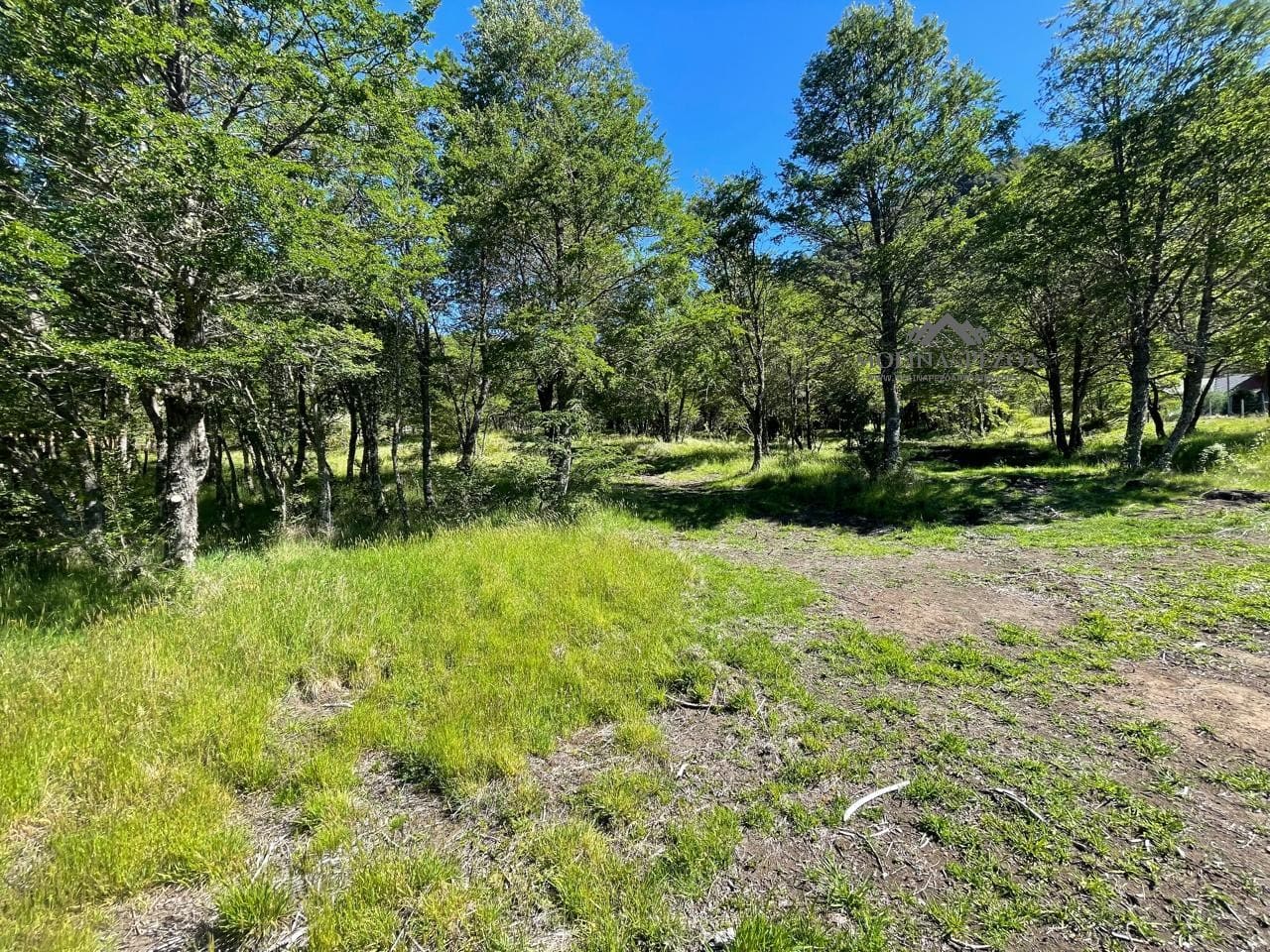 Parcela en venta en Curacautín — foto 8