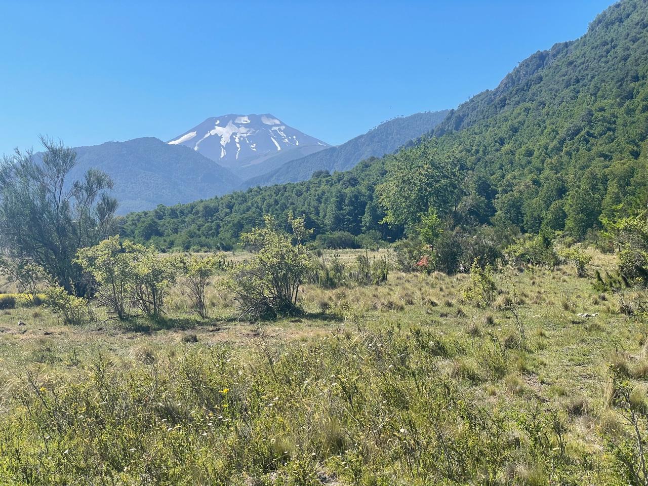 Parcela en venta en Curacautín — foto 5