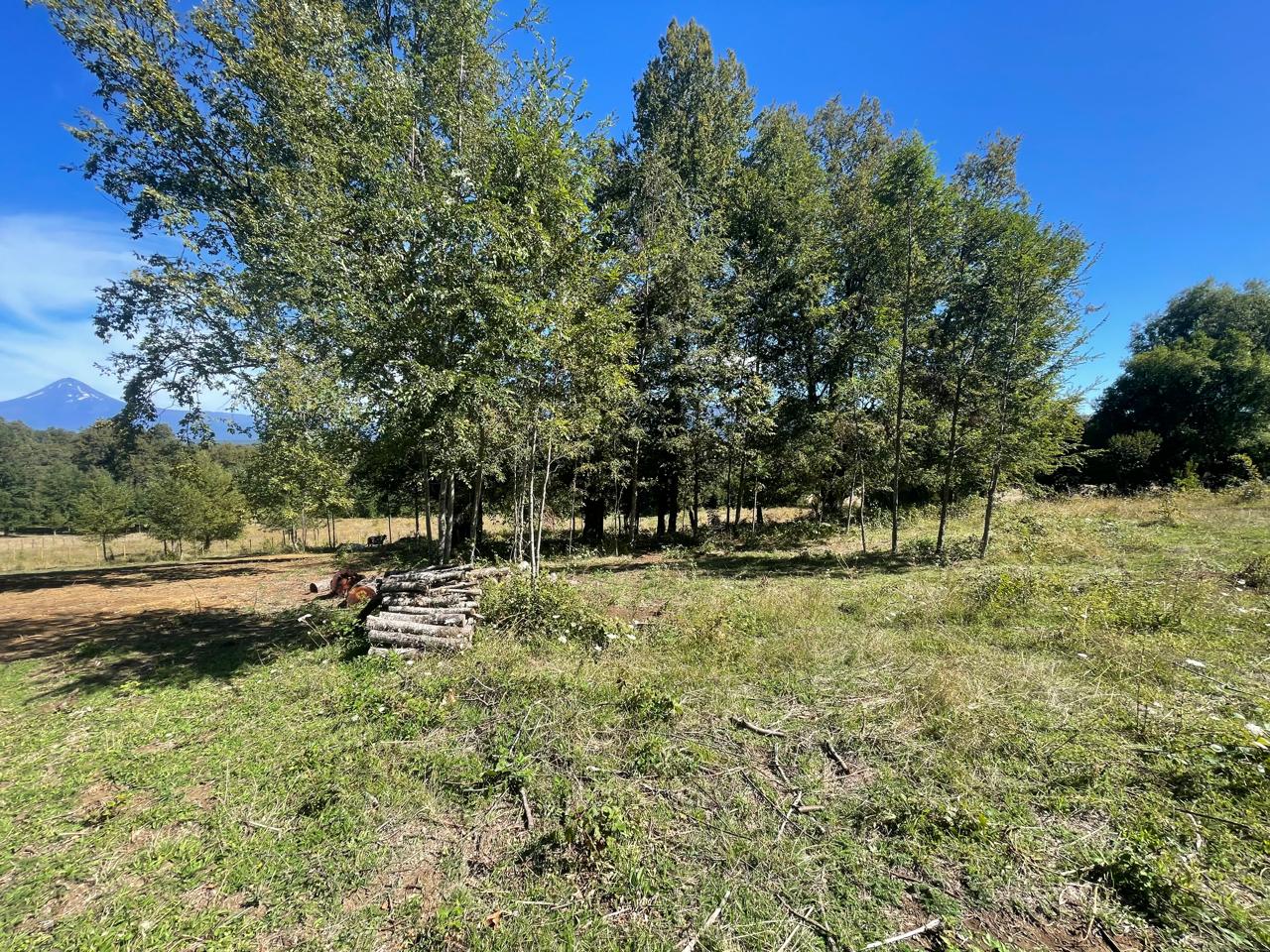 Parcela en venta en Curacautín — foto 3