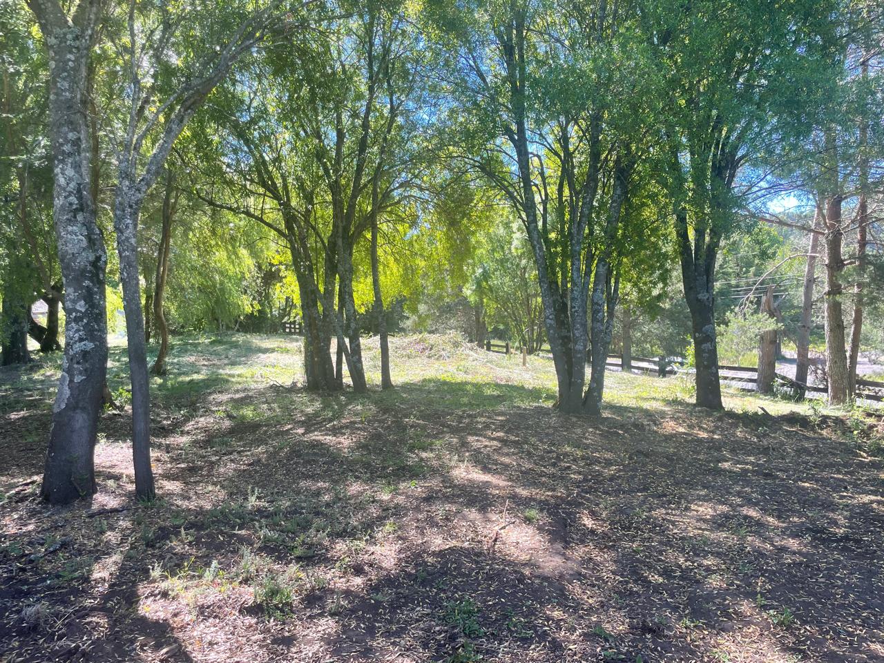 Parcela en arriendo en Curacautín — foto 5