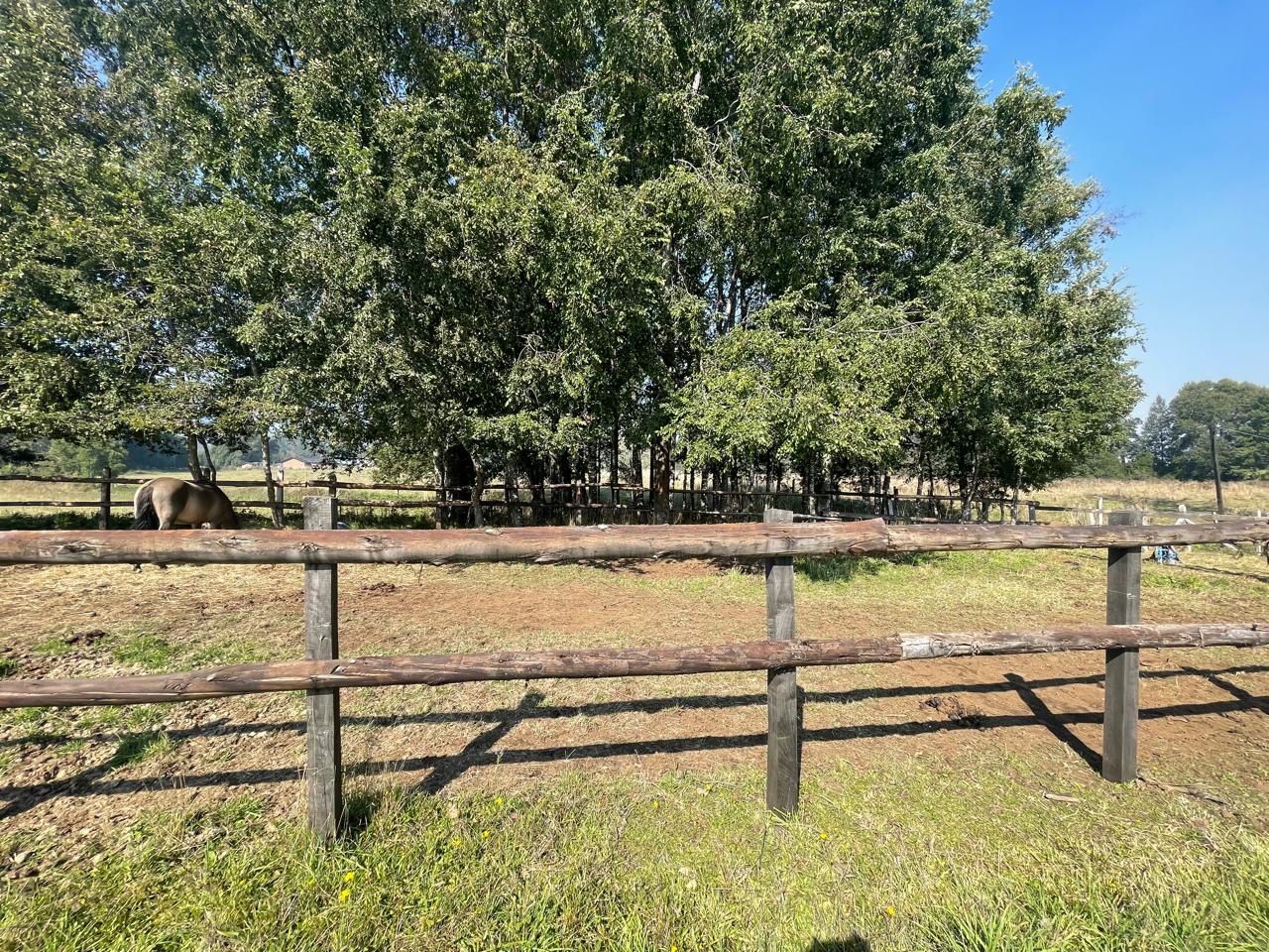 Parcela en venta en Curacautín — foto 3