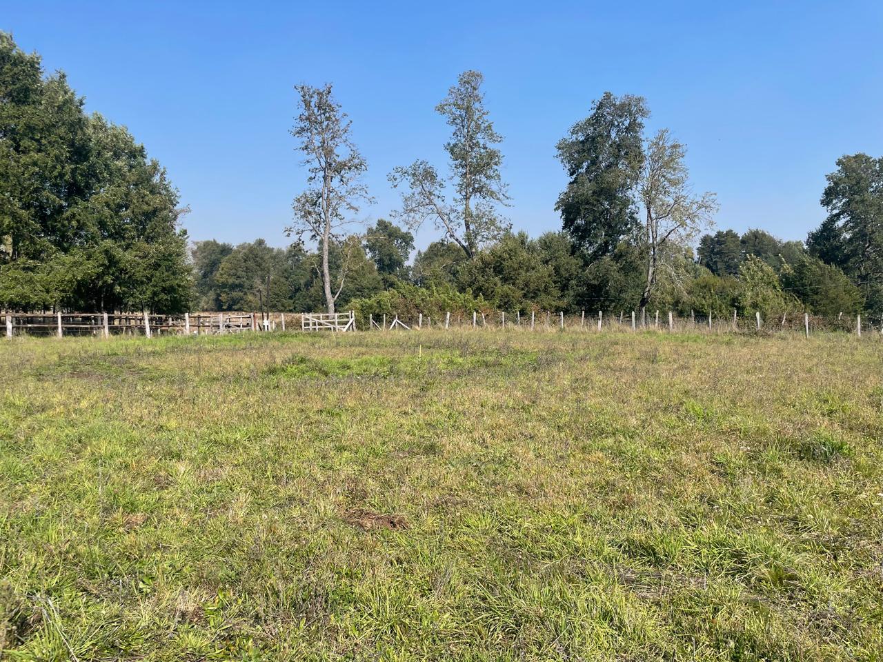 Parcela en venta en Curacautín — foto 7