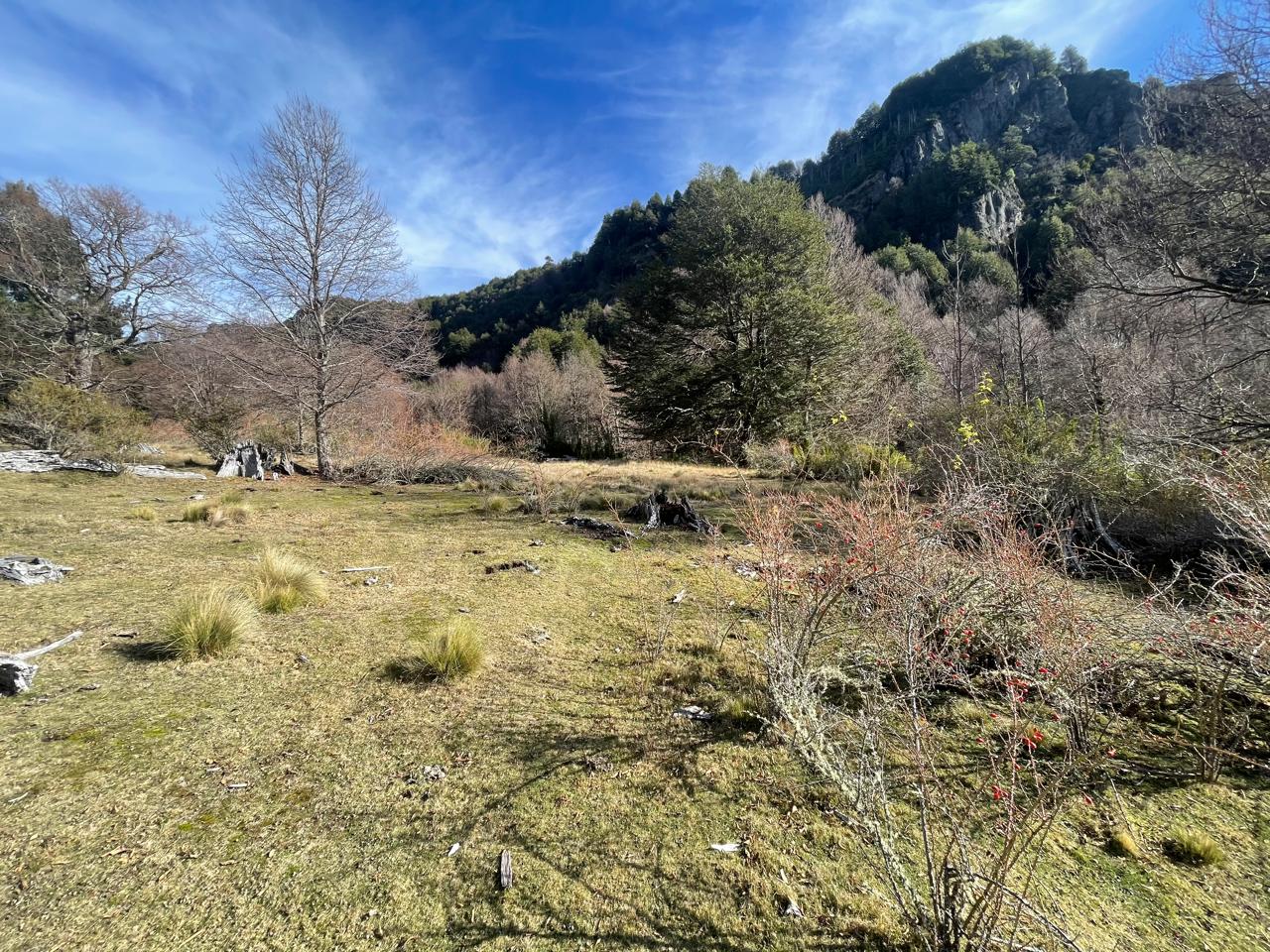 Parcela en venta en Curacautín — foto 3