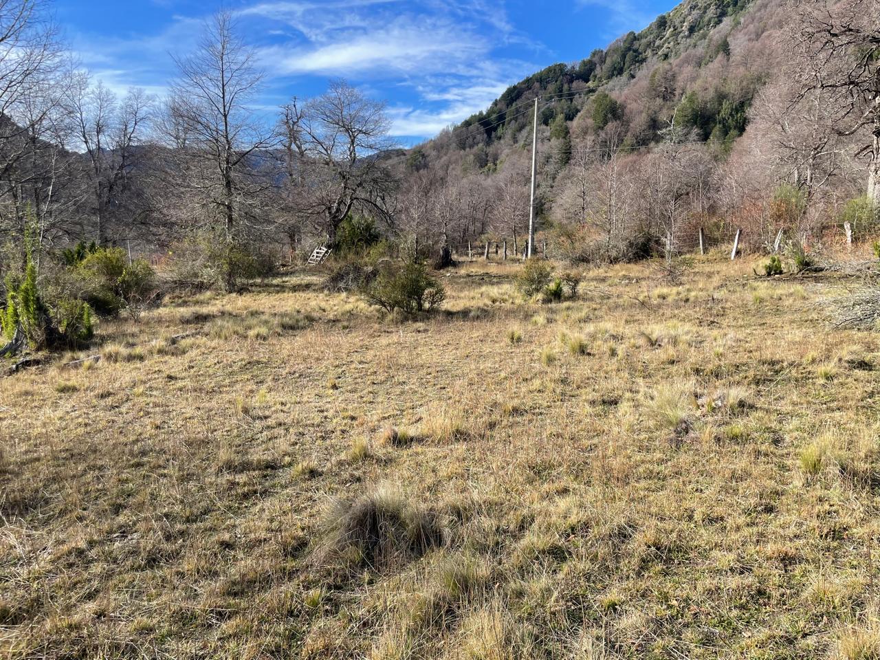 Parcela en venta en Curacautín — foto 5