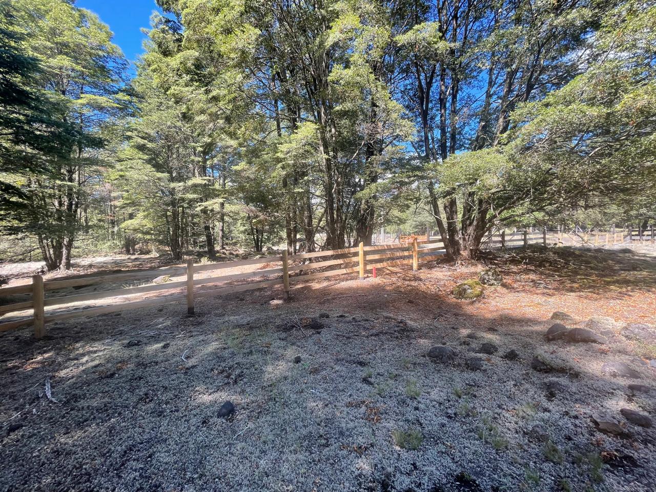 Parcela en venta en Curacautín — foto 7