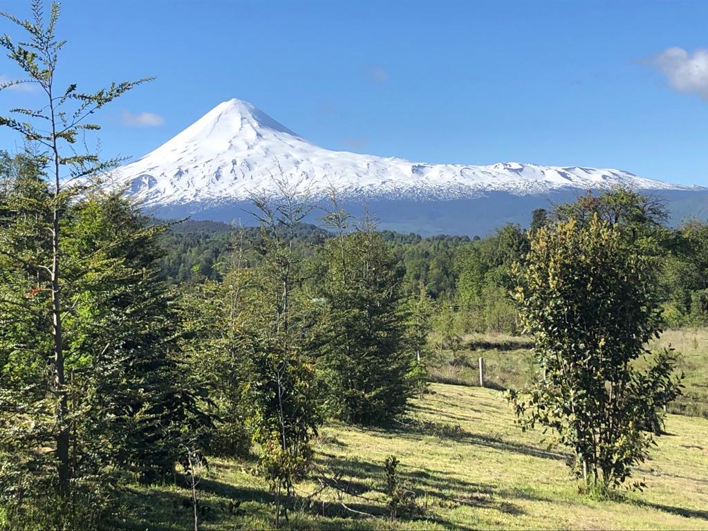 Parcela en venta en Curacautín — foto 1