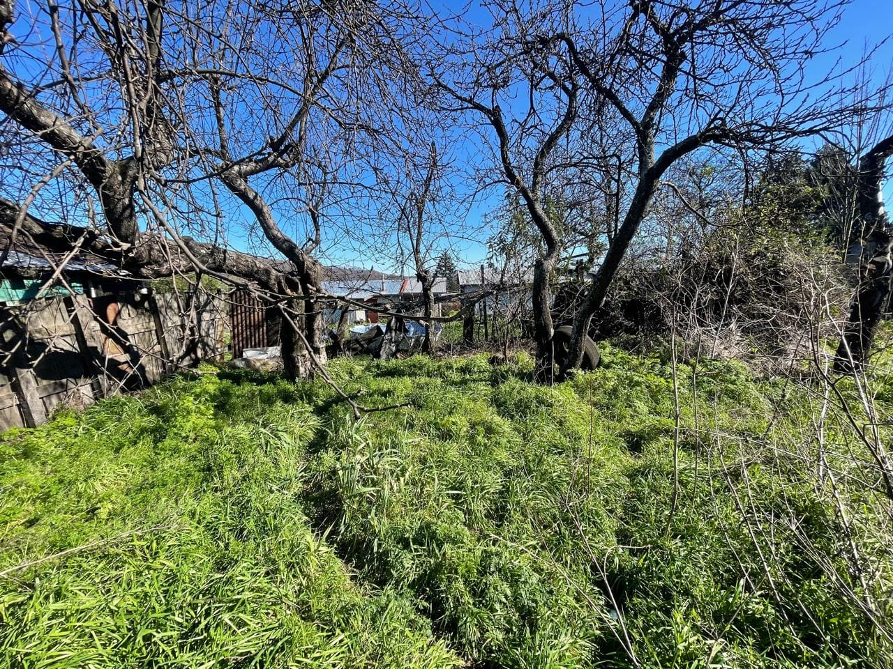 Terreno en venta en Curacautín — foto 5