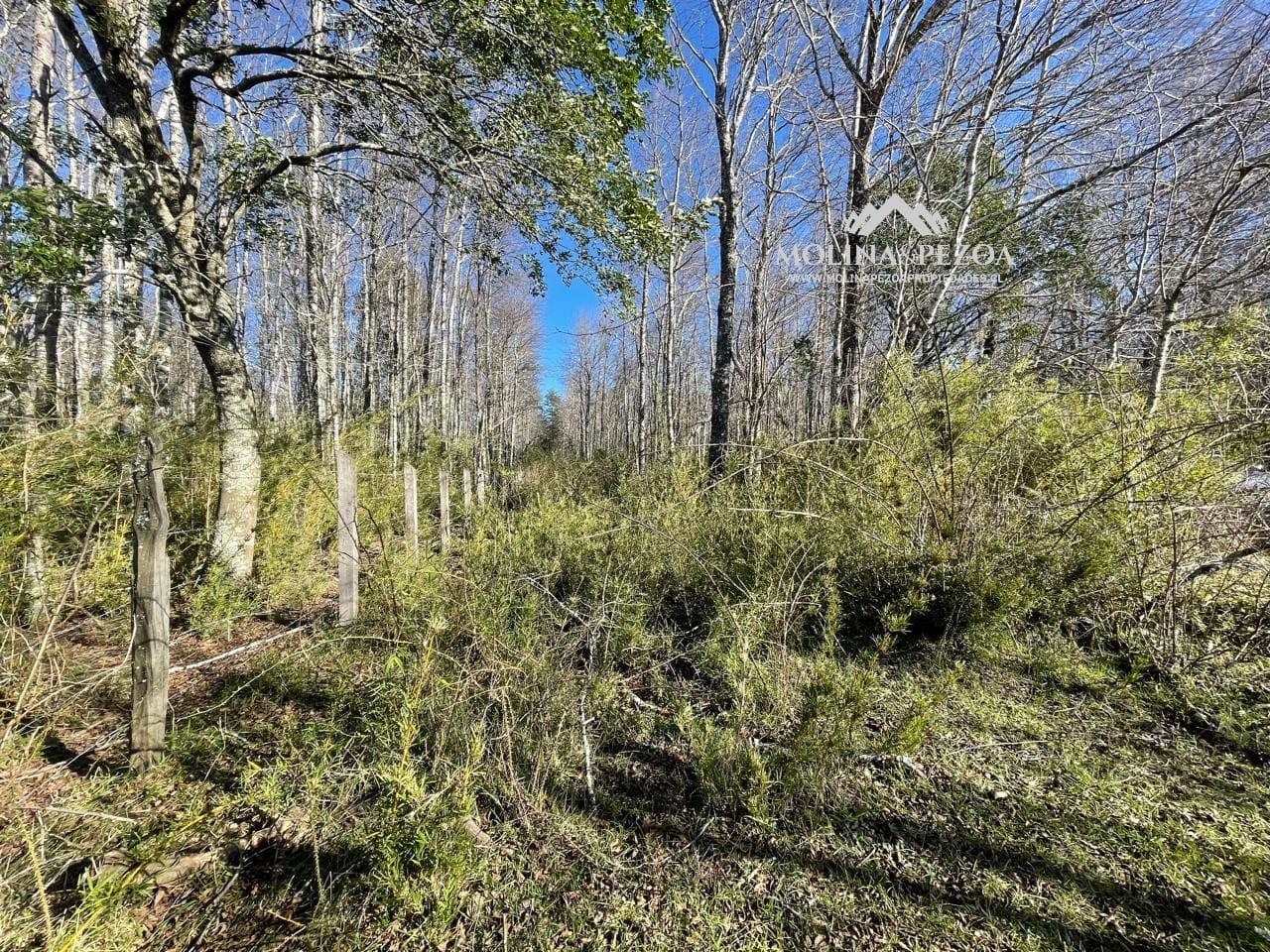 Terreno en venta en Curacautín — foto 4
