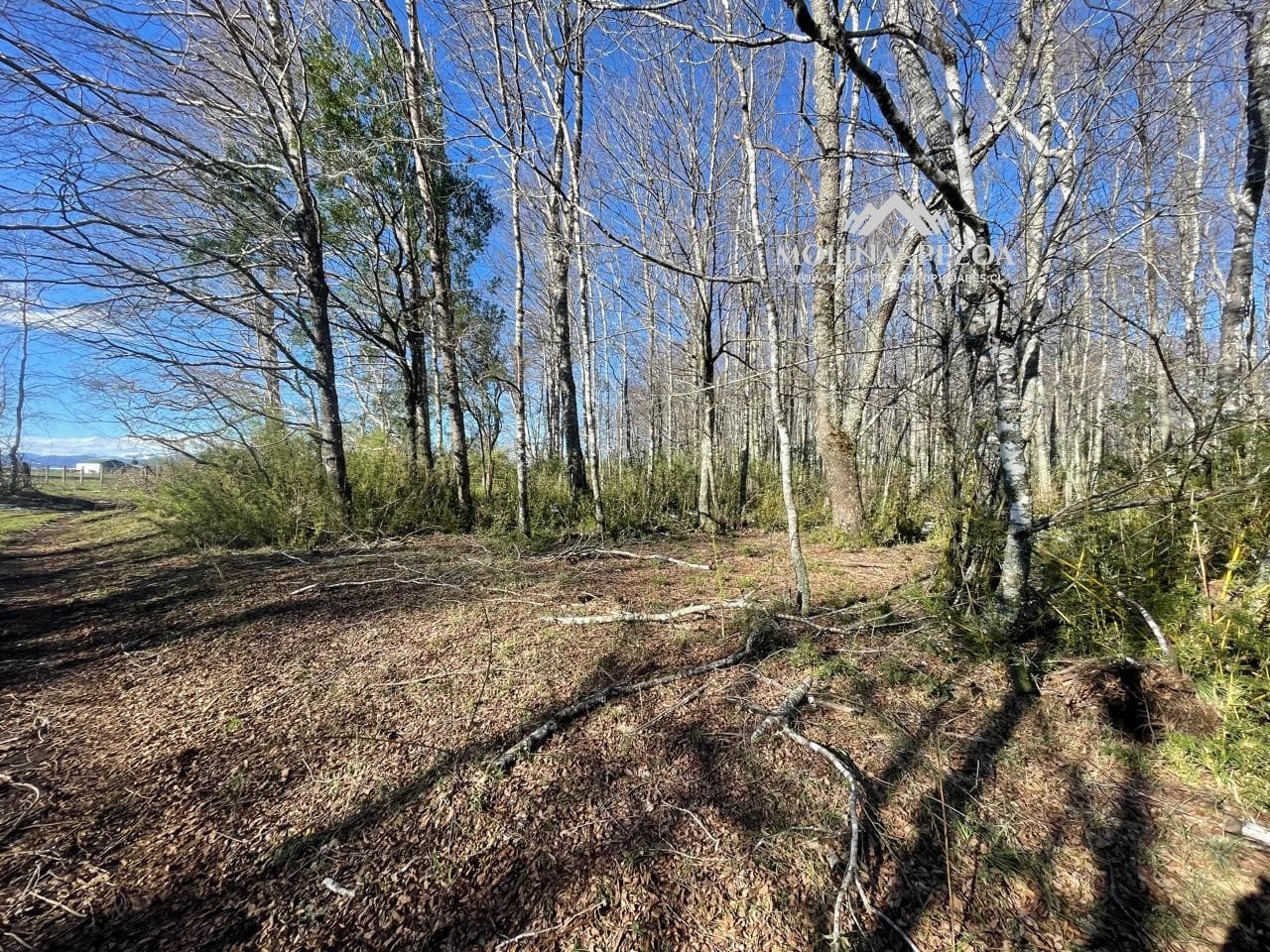 Terreno en venta en Curacautín — foto 10