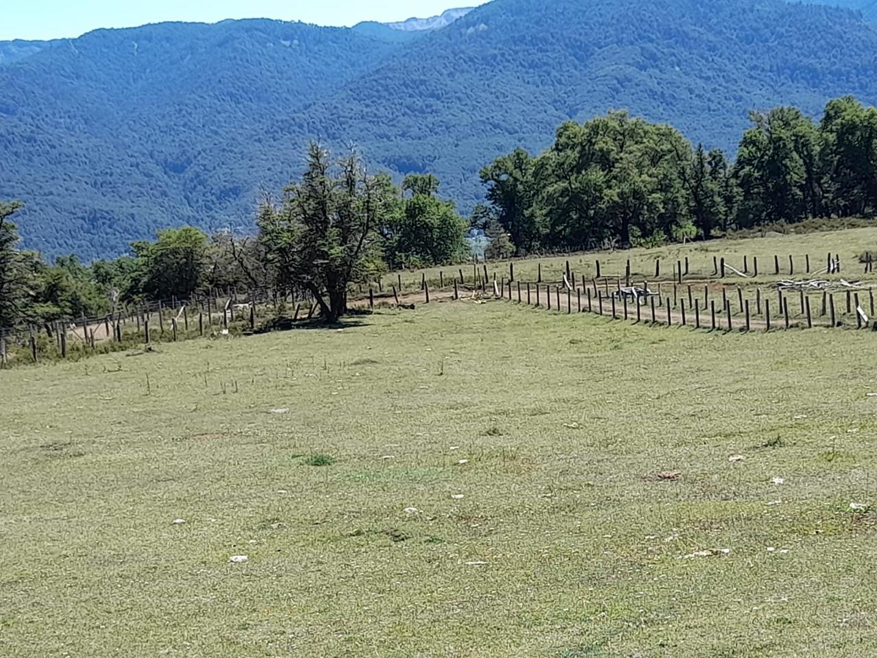 Parcela en venta en Lonquimay — foto 3