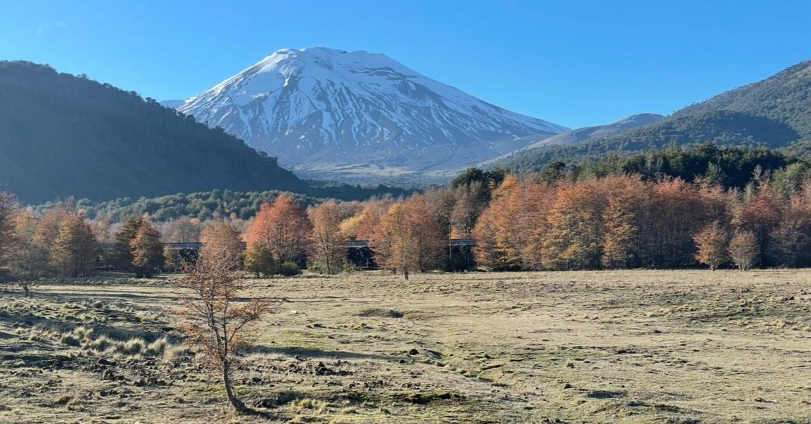 Terreno en venta en Curacautín — foto 1